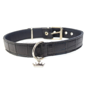 collar para perro basico negro estilfordog