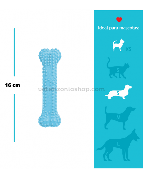 juguete-para-cachorro-nylabone-dental-azul