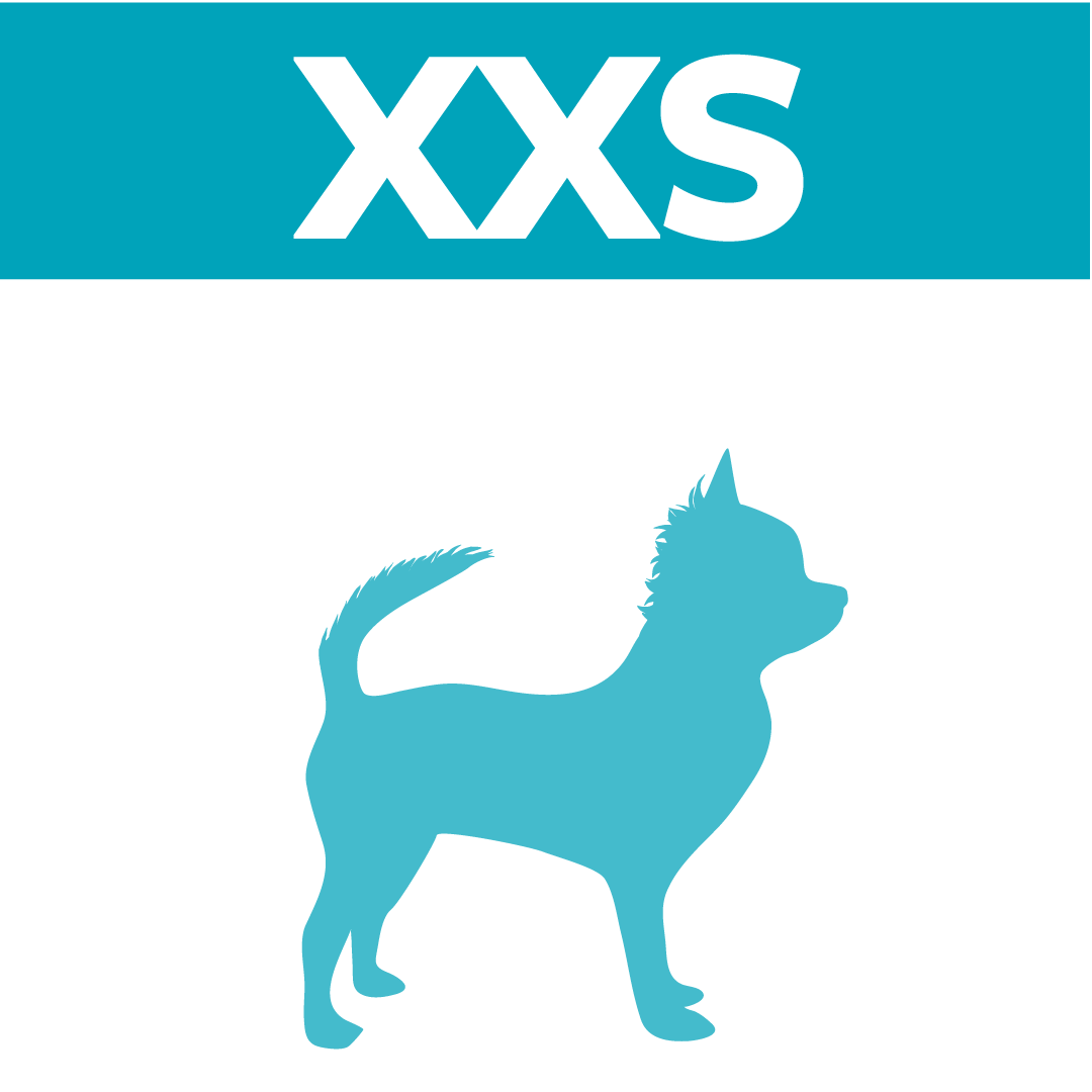 XXS