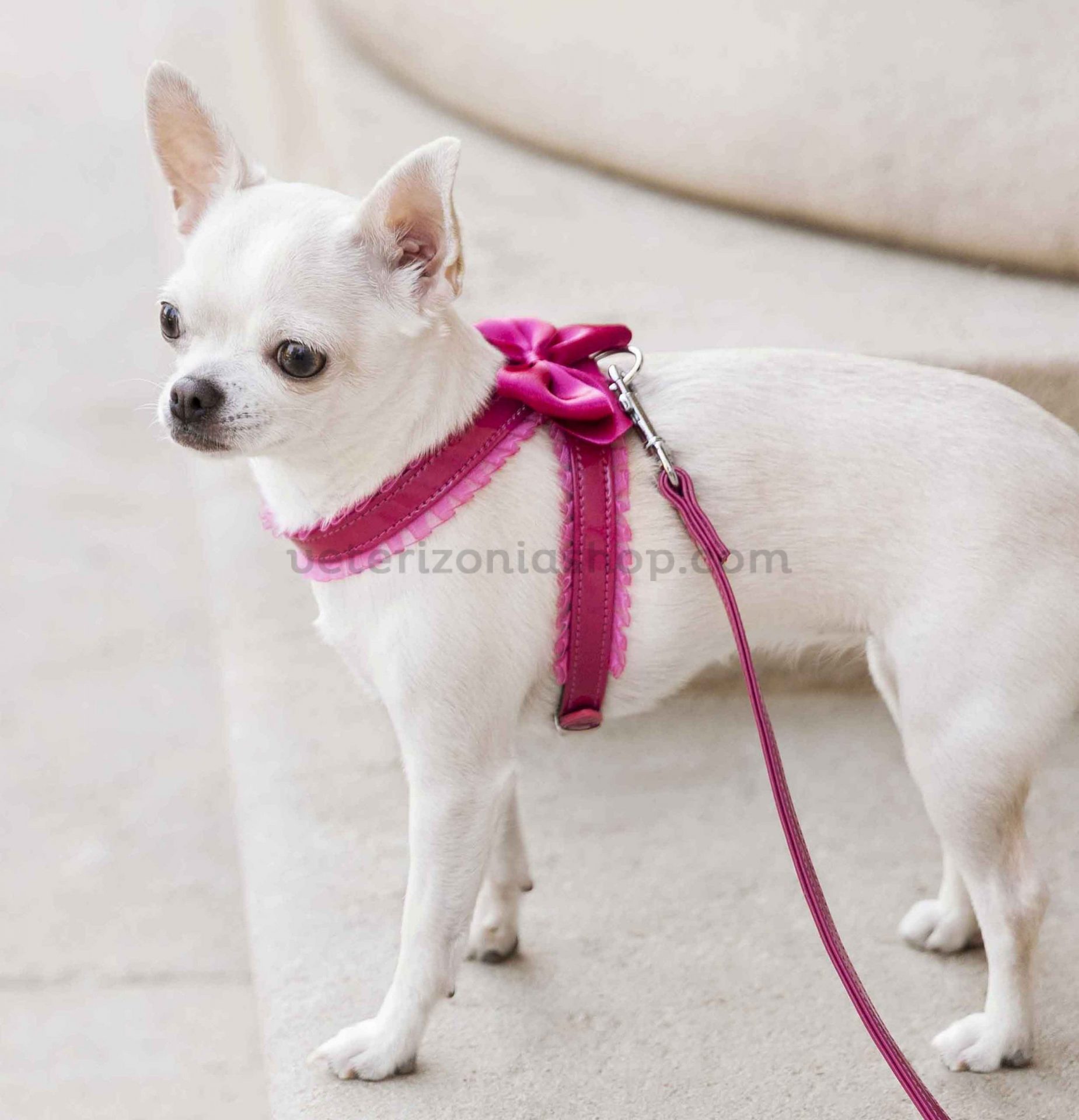 Arnés perro pequeño Rosa Luxury - Veterizonia