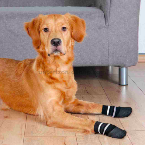 2 pares de calcetines de perro para perros de madera dura, calcetines de  agarre para perros, calcetines de Navidad, calcetines antideslizantes para
