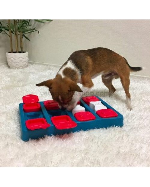Juguetes interactivos para perros. En Takoo compra juguetes para