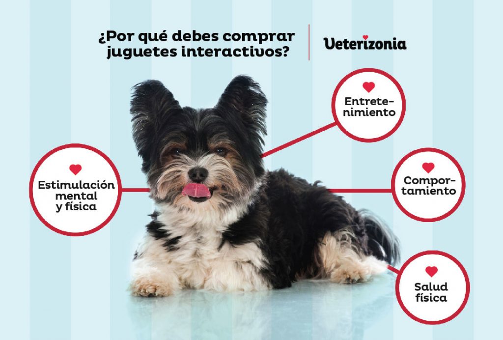 Juguetes interactivos para perros pequeños, cómo elegirlos