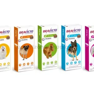 Bravecto-antiparasitario-para-perros