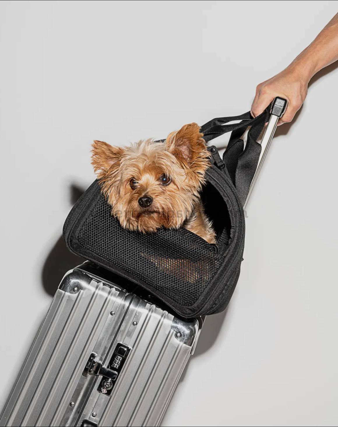 Transportín de viaje para mascotas que cumple con las normas de las aerolíneas-1