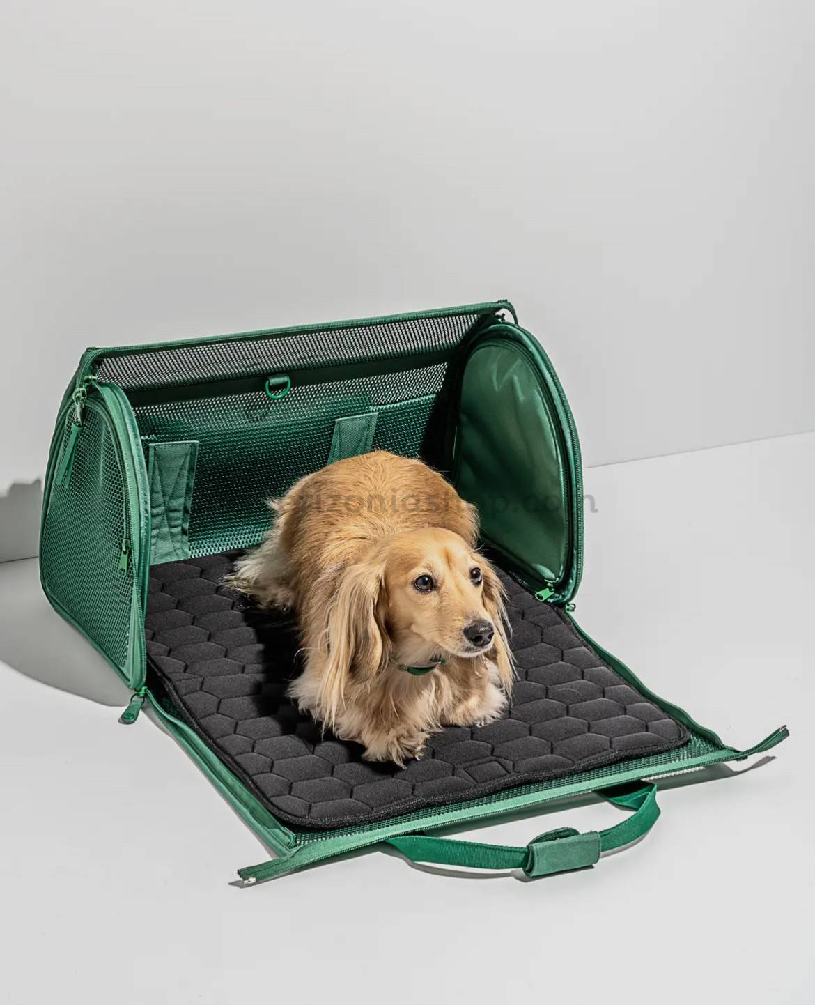 Transportín de viaje para mascotas que cumple con las normas de las aerolíneas-verde