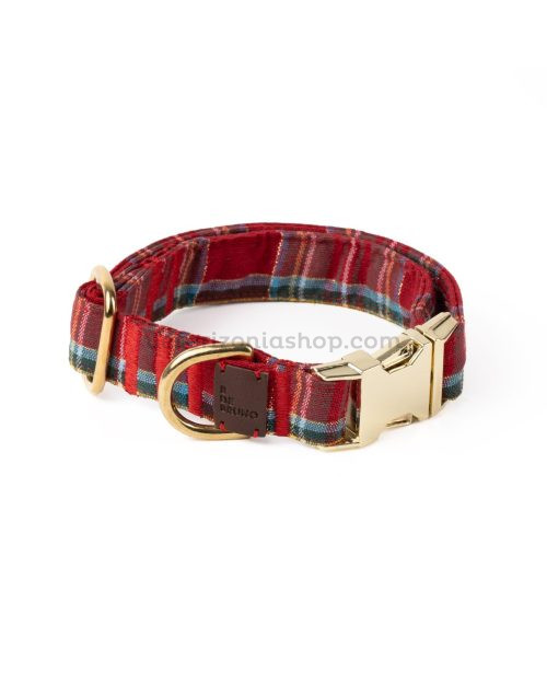 collar-para-perros-escoces-rojo-bdbruno-veterizonia